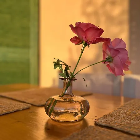 Farm stay Casetta Valmora *