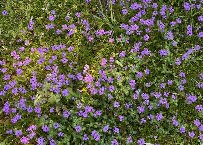 Casetta Valmora Фермерский дом