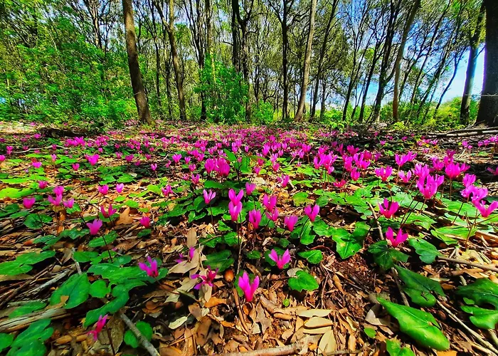 Casetta Valmora * Valpiana (Grosseto)